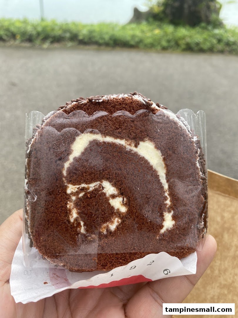 A hand holds a delicious chocolate cream roll cake with white cream filling.