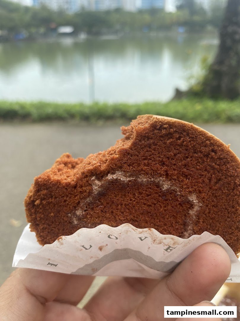 A hand holds a chocolate swiss roll with a bite taken out, set against a blurred lake background.