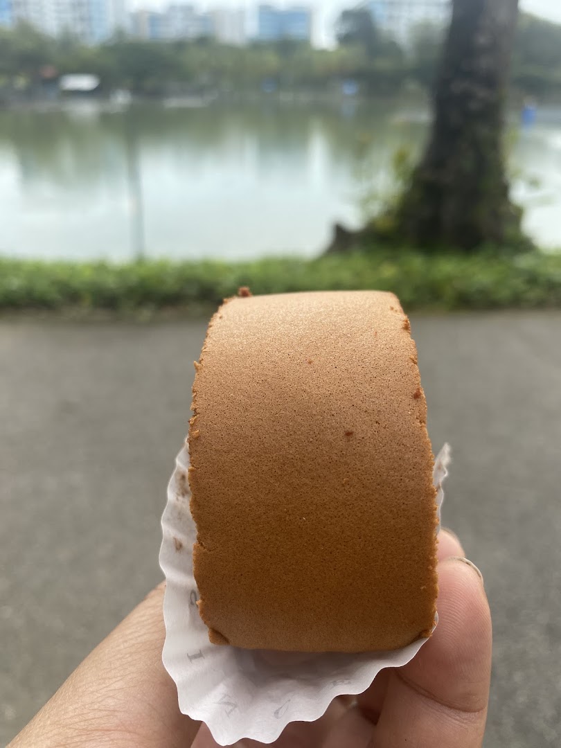 A hand holds a chocolate cake roll with a scenic lake and park in the blurred background.