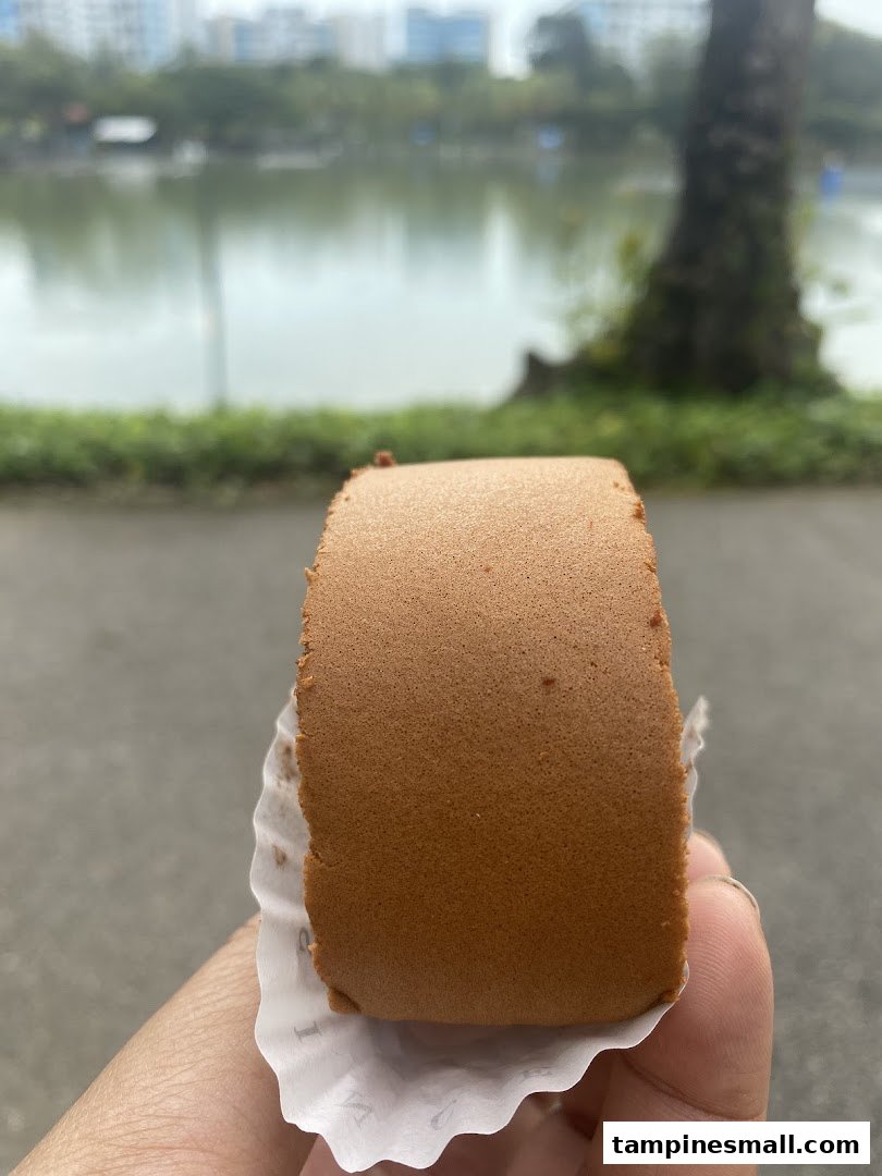 A hand holds a chocolate cake roll with a scenic lake and park in the blurred background.