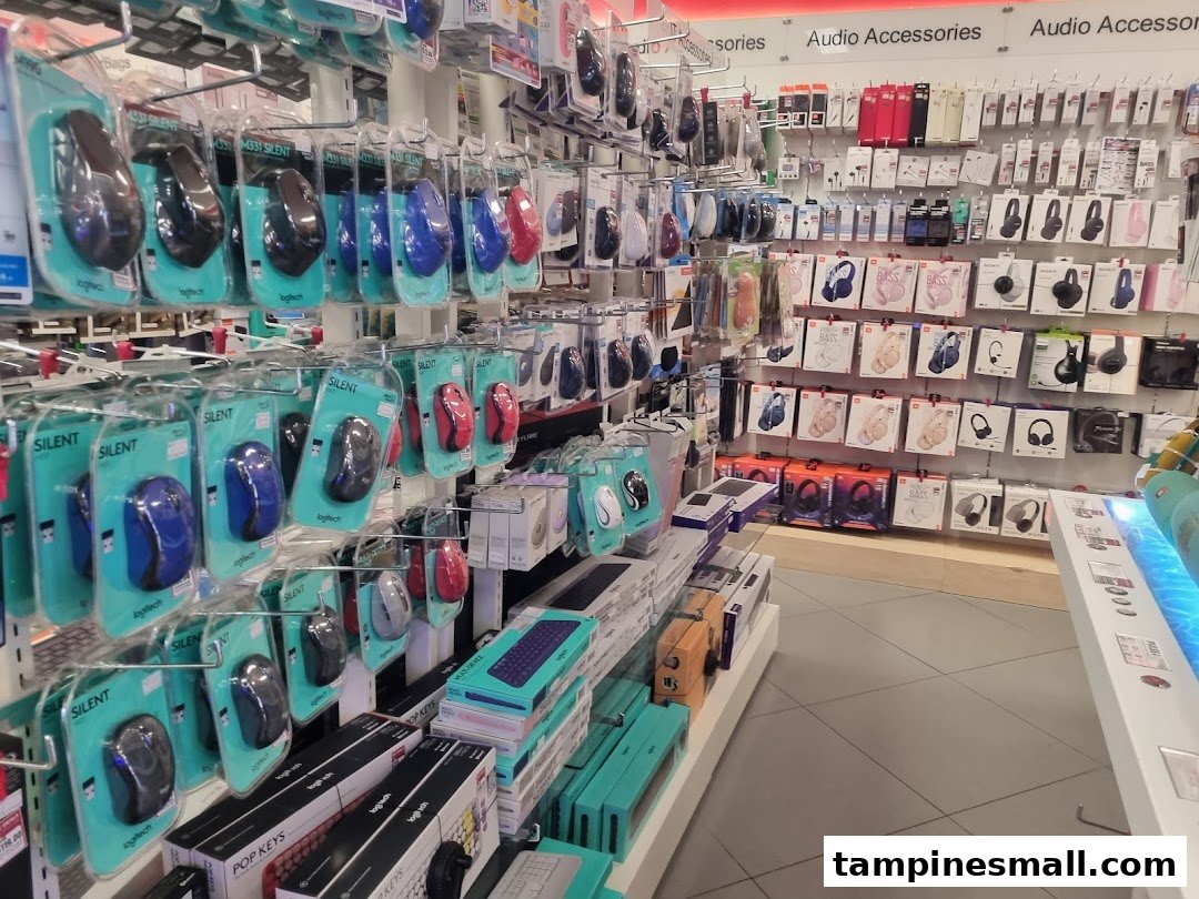 Rows of computer mice, keyboards, and audio accessories displayed in a retail store.