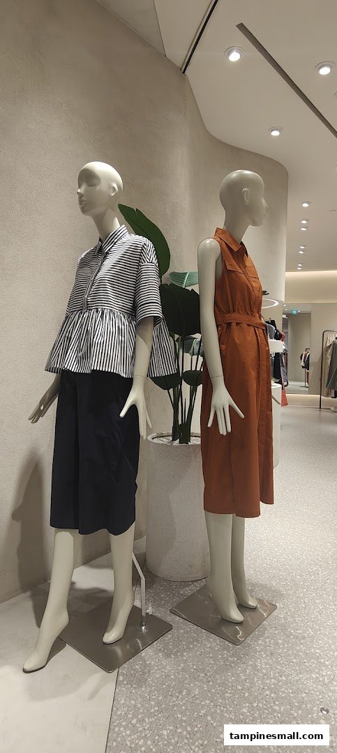 Two mannequins display stylish women's clothing inside a modern retail store.