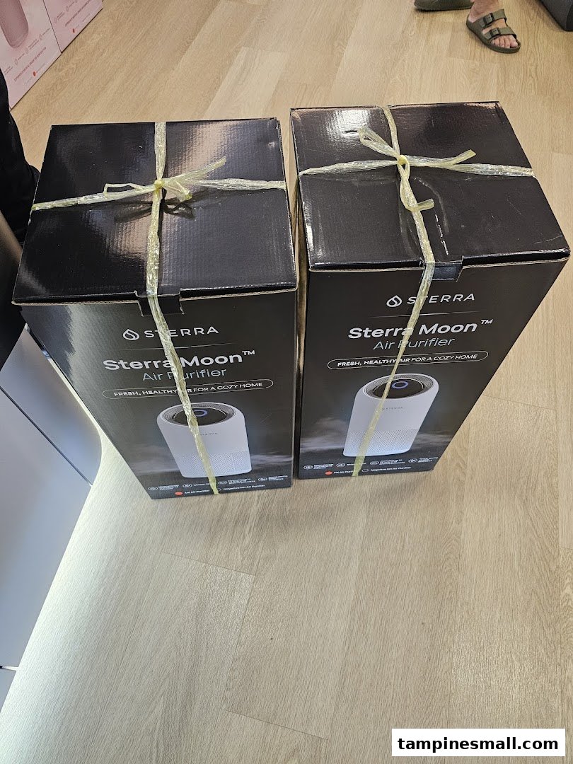 Two Sterra Moon Air Purifier boxes displayed on a light wooden floor.