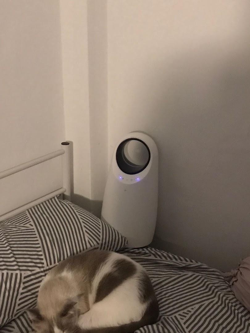 A white air purifier stands beside a bed with a sleeping cat.