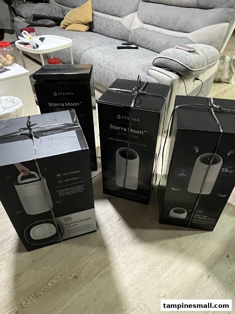 Several Sterra Moon Air Purifier boxes are displayed in a home setting.