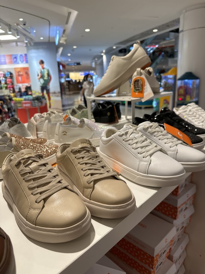 A display of various stylish and comfortable sneakers on shelves inside a Sunnystep store.