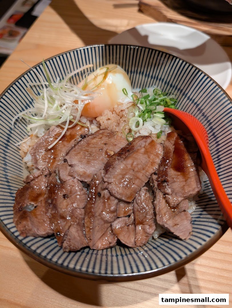 A delicious bowl of sliced meat over rice with a poached egg and green onions.