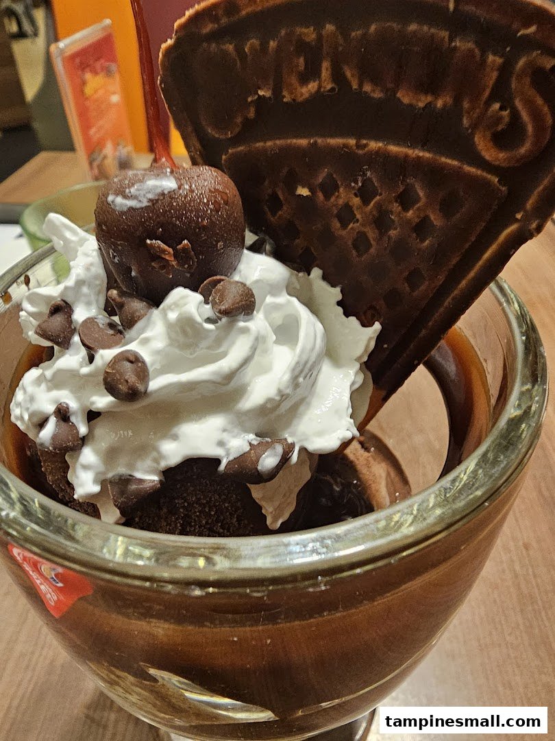 A rich chocolate sundae with whipped cream, chocolate chips, a cherry, and a Swensen's waffle.