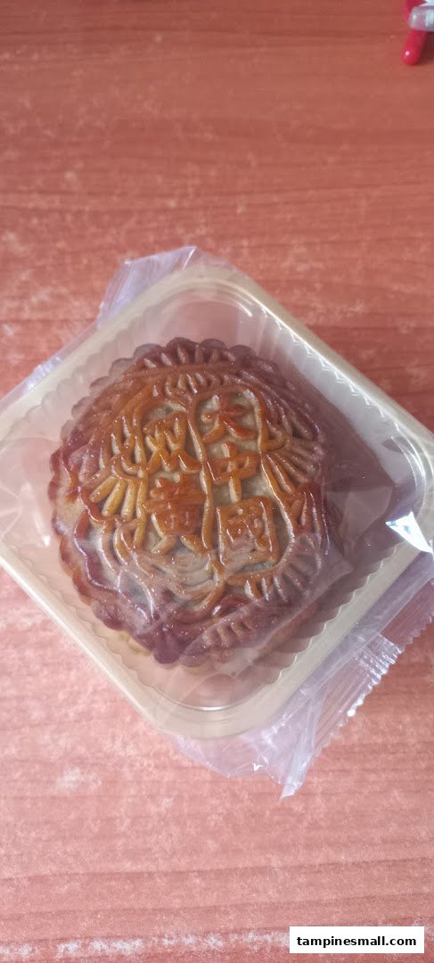 A traditional mooncake with intricate design, presented in clear plastic packaging.