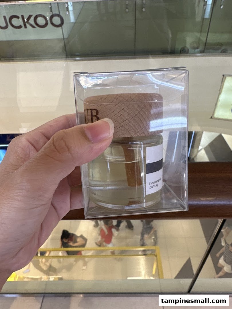 A hand holds a clear packaged aroma diffuser with a wooden cap and a cinnamon stick inside.