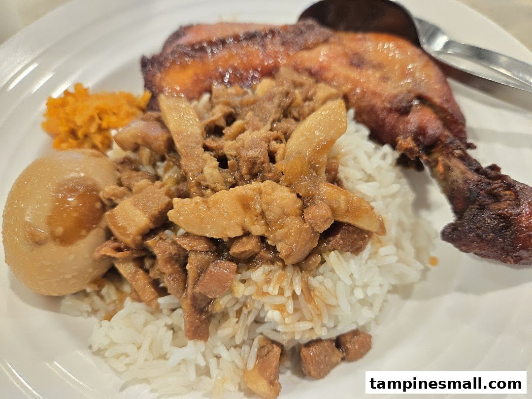 A delicious plate featuring rice, braised pork, a braised egg, and a crispy chicken drumstick.