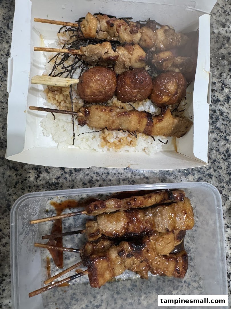 Delicious grilled skewers with rice in a takeaway box and an additional container of skewers.