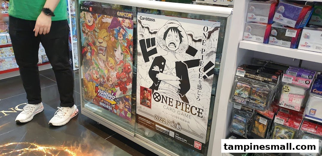 A display case featuring game posters and card game accessories inside a toy and game shop.