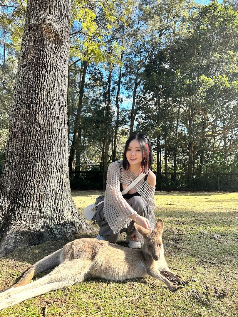 A young woman gently pets a kangaroo resting on the grass under a tree in a sunny outdoor setting.