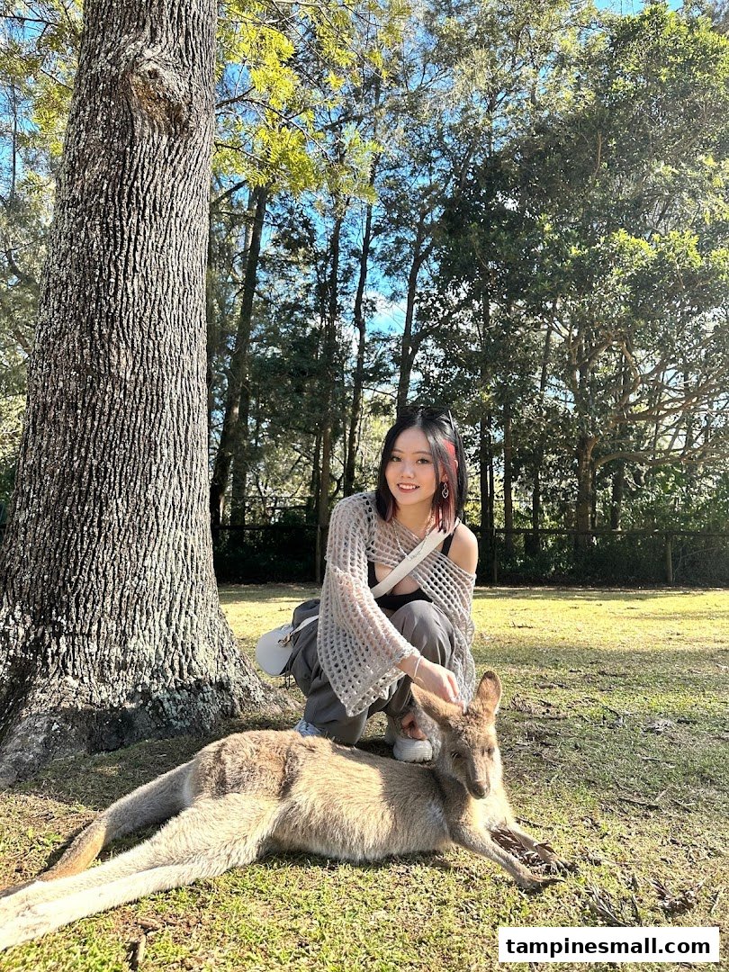 A young woman gently pets a kangaroo resting on the grass under a tree in a sunny outdoor setting.