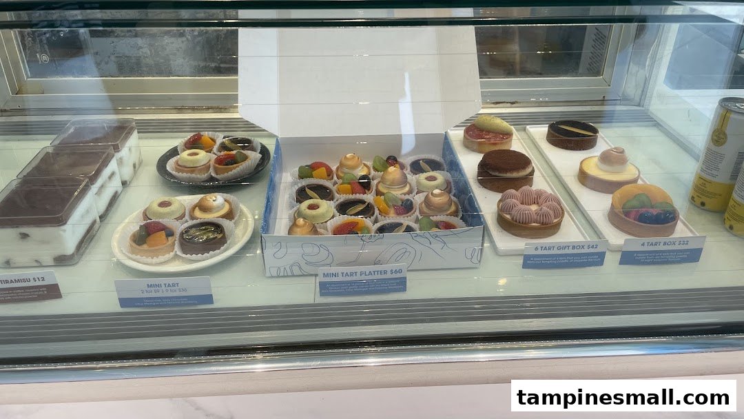 A vibrant display case showcasing a variety of delicious tarts, mini tarts, and tiramisu.