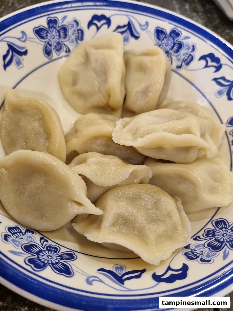 A close-up of a plate filled with freshly steamed Chinese dumplings.