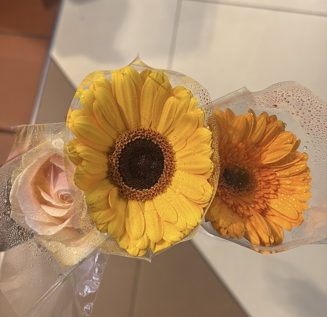 Close-up of three fresh flowers, including a rose and two gerbera daisies, individually wrapped with water droplets.