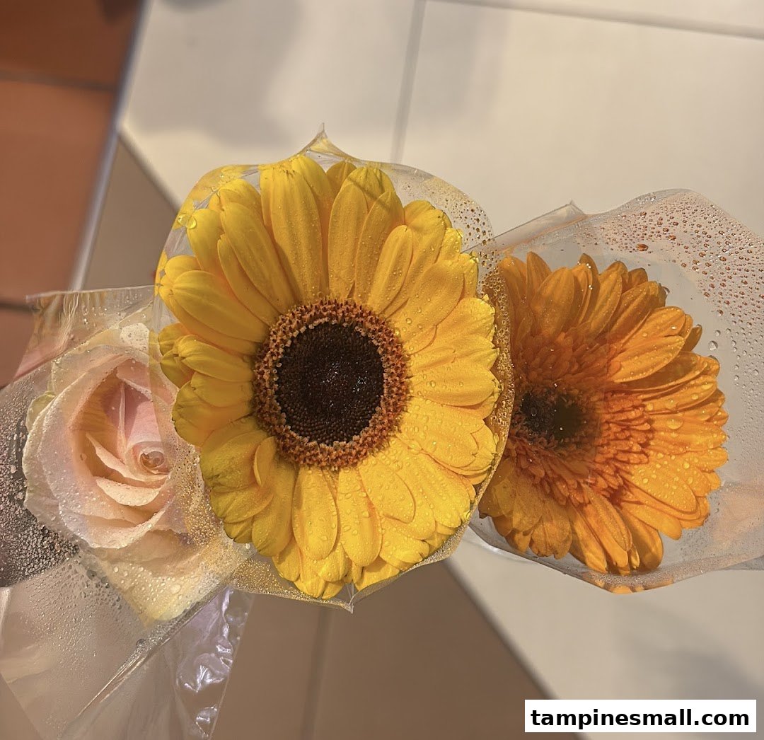 Close-up of three fresh flowers, including a rose and two gerbera daisies, individually wrapped with water droplets.