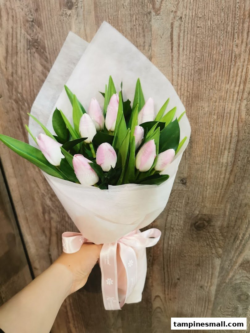 A hand holds a beautiful bouquet of pink and white tulips wrapped in white paper with a pink ribbon.