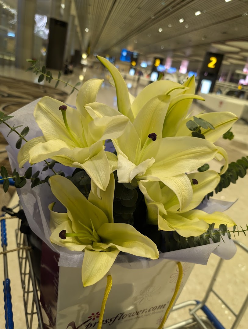 A beautiful bouquet of white lilies from Xpressflower in a shopping bag, set against a blurred airport background.