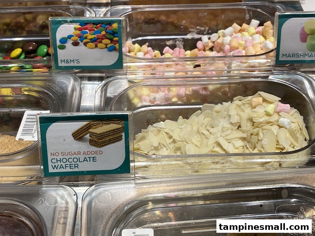 Close-up of Yolé's frozen yogurt toppings, including M&M's, marshmallows, and no sugar added chocolate wafers.