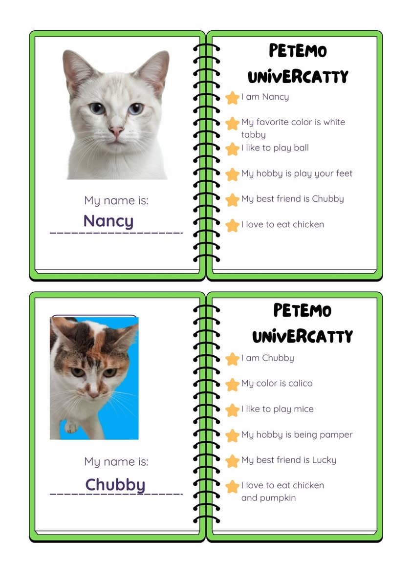 A tabby cat looking directly at the camera with curiosity.