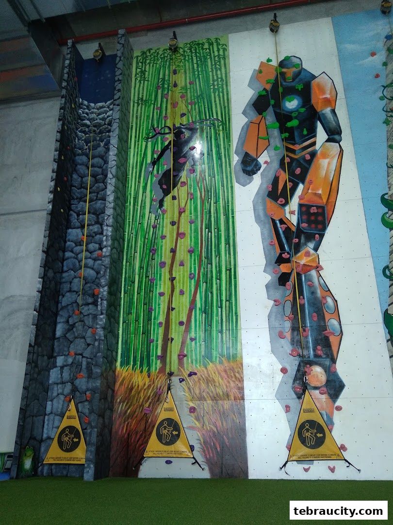 Indoor climbing walls with themed designs including a stone wall, bamboo forest, and a robot.