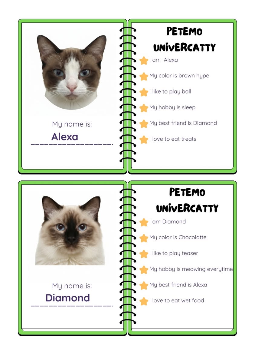 A cream-colored cat with gentle eyes, sitting attentively.