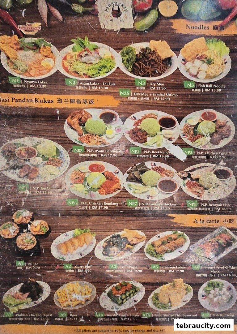 A menu from Peranakan Place featuring various noodle dishes, rice sets, and appetizers.