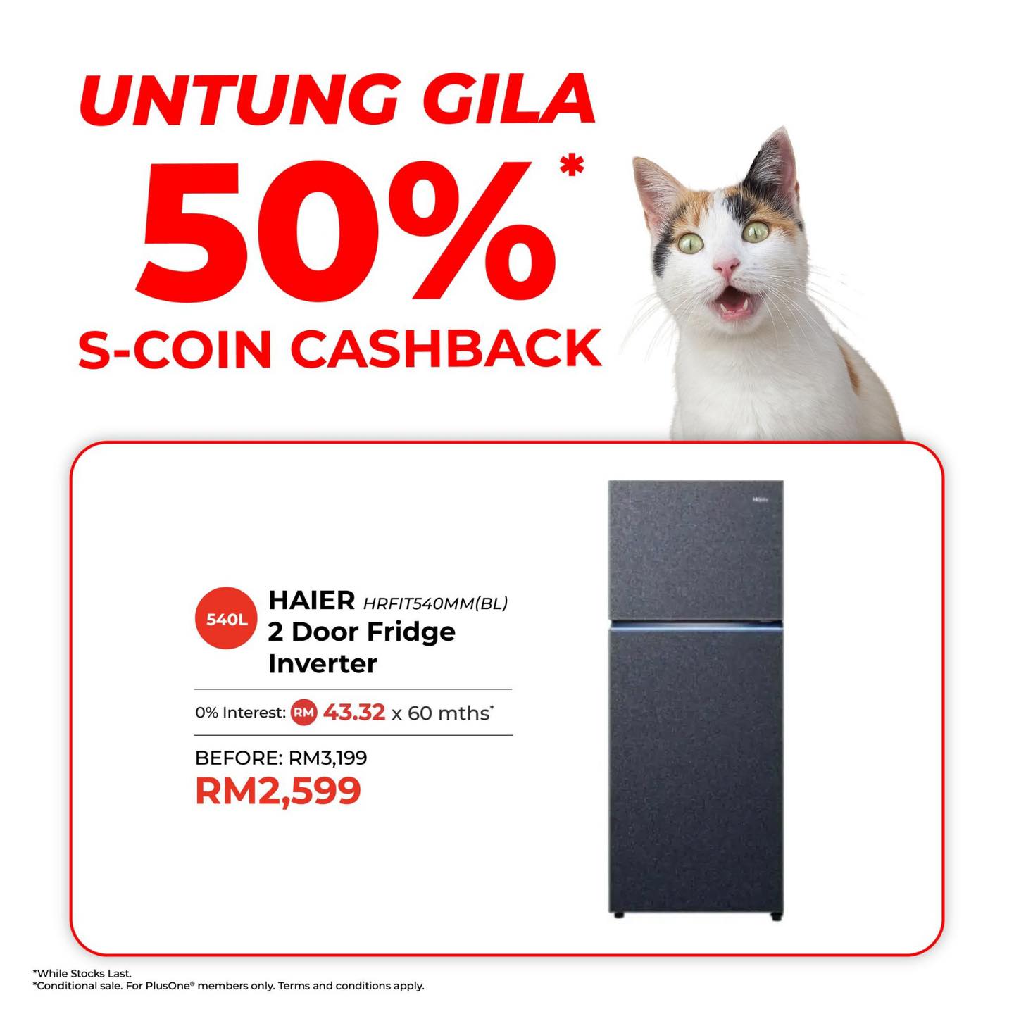 Interior view of a spacious refrigerator organized with fresh produce