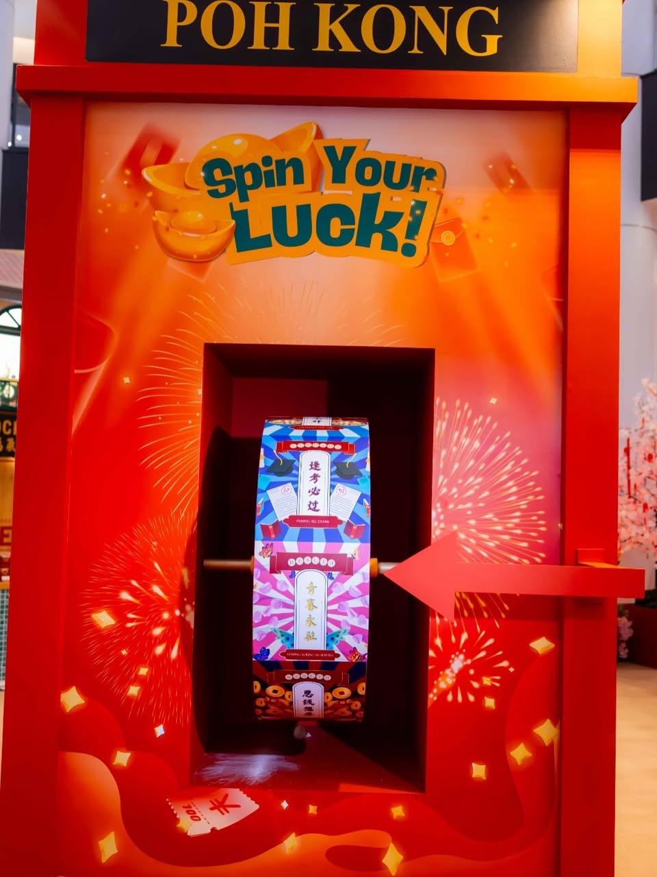 Traditional lion dance performance at AEON MALL