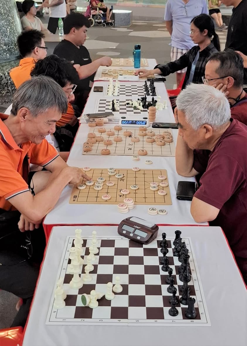 A close-up of a Xiangqi board during a coaching session.