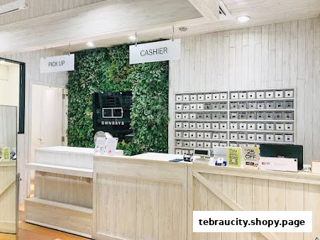 The interior of an optical shop with a cashier counter, a green wall, and organized shelves.
