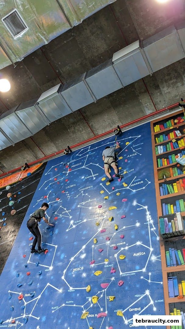 Two people are rock climbing on a wall decorated with constellations and a bookshelf mural.