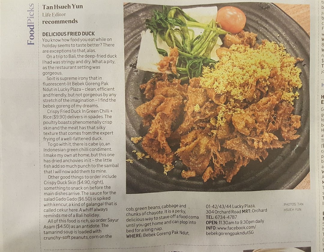 A food review featuring Bebek Goreng Pak Ndut's signature fried duck and other Indonesian dishes.