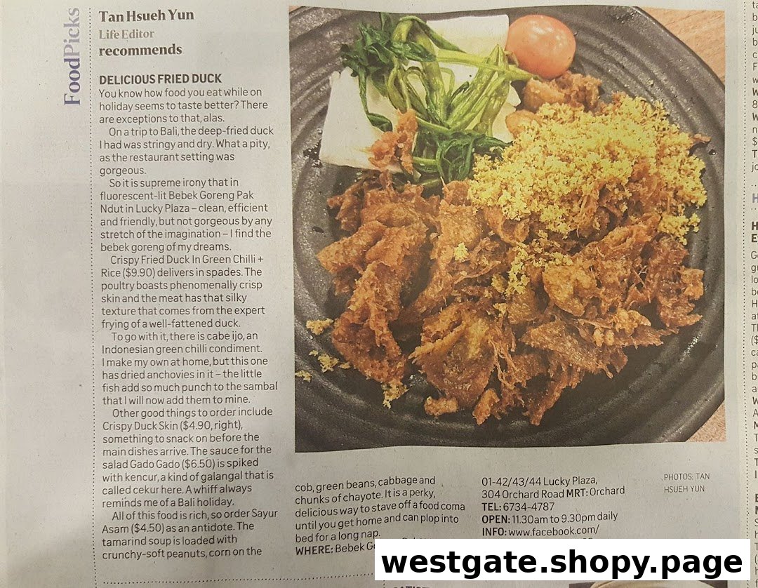 A food review featuring Bebek Goreng Pak Ndut's signature fried duck and other Indonesian dishes.