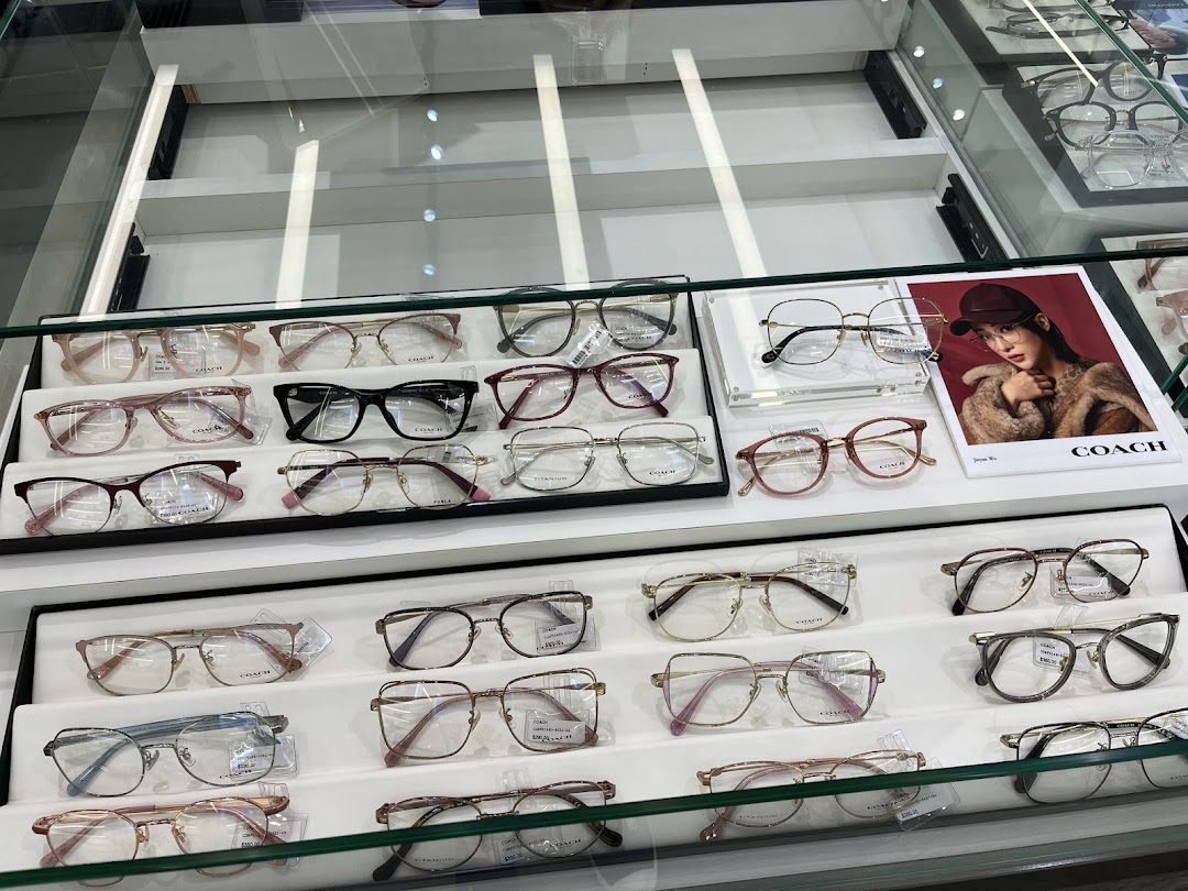 A brightly lit display case showcasing a wide selection of stylish eyeglasses and frames.