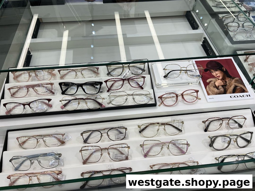 A brightly lit display case showcasing a wide selection of stylish eyeglasses and frames.
