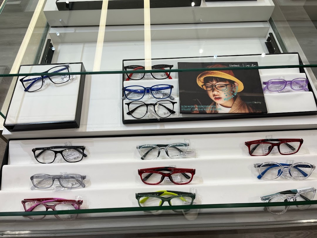 A vibrant display of various stylish eyeglasses and frames, including popular brands like Ray-Ban and Emporio Armani.