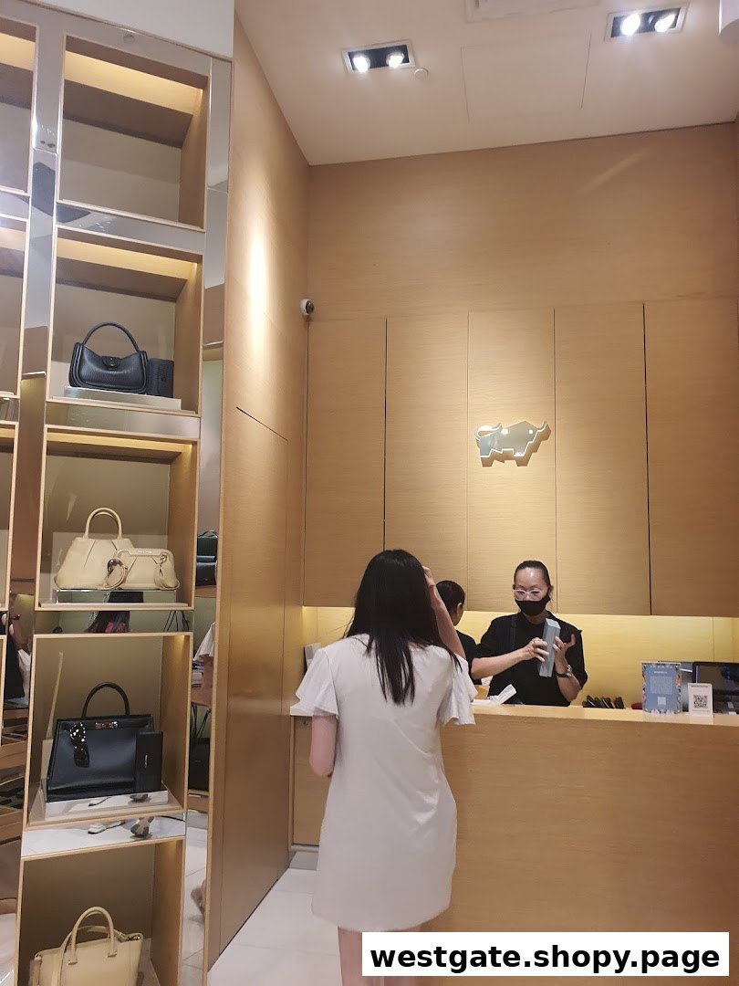 A customer interacts with staff at the counter of a Braun Büffel store, showcasing luxury handbags.