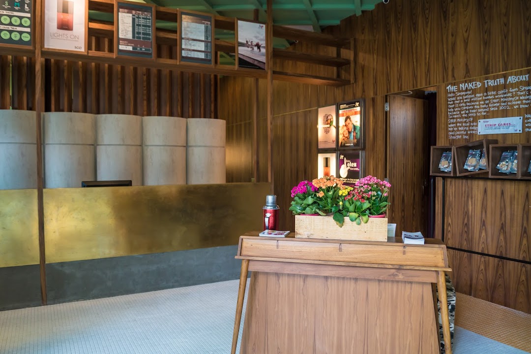 Interior view of Browhaus Westgate, featuring a stylish counter, floral decor, and product displays.