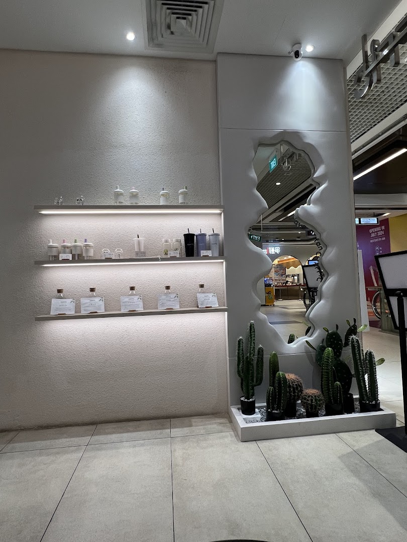 Interior view of Chaffic Westgate featuring product displays, a unique mirror, and decorative cacti.