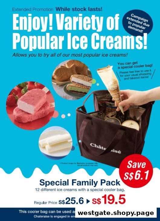 A promotional flyer for Châteraisé's Special Family Pack of popular ice creams with a cooler bag.