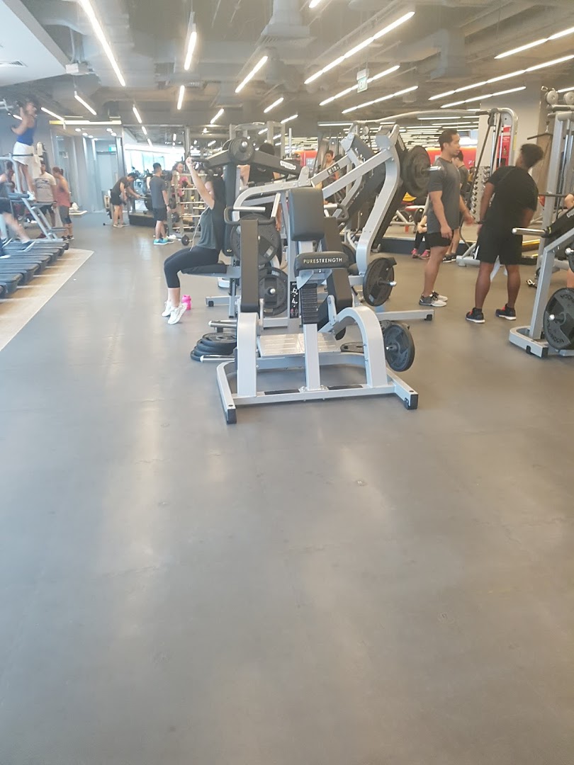 An active gym interior with members utilizing various weight training and cardio equipment.