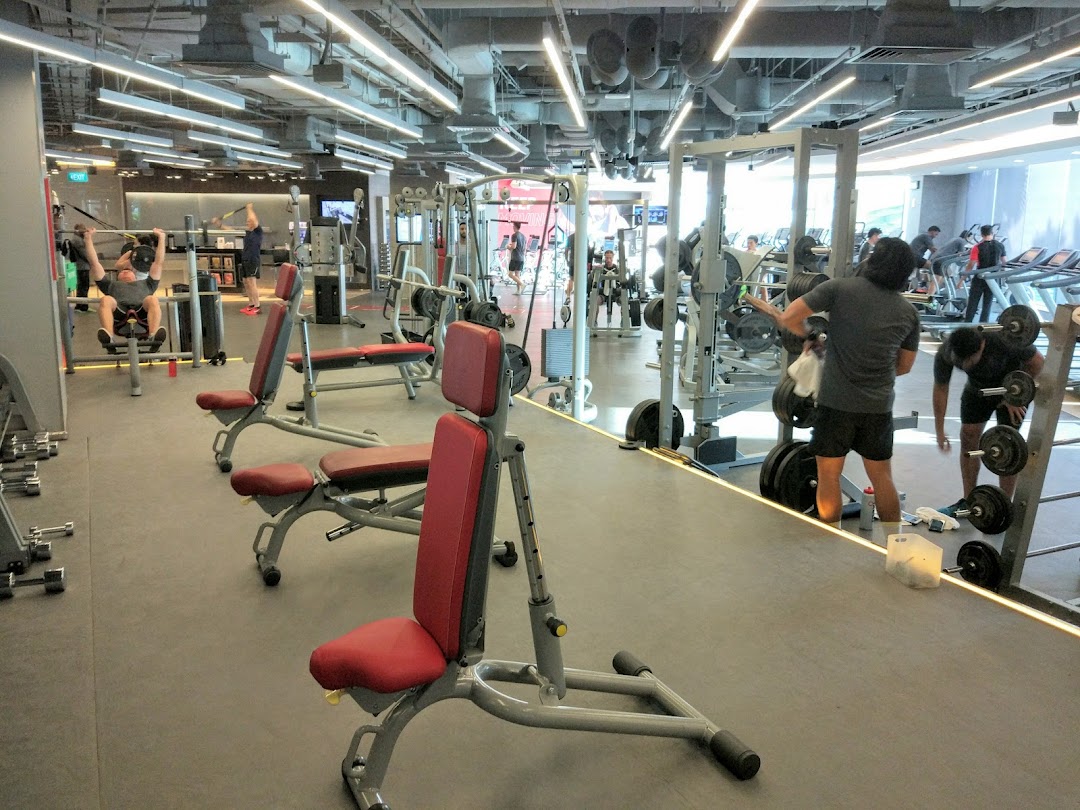 An interior shot of Fitness First gym showing members using various weight training equipment and benches.