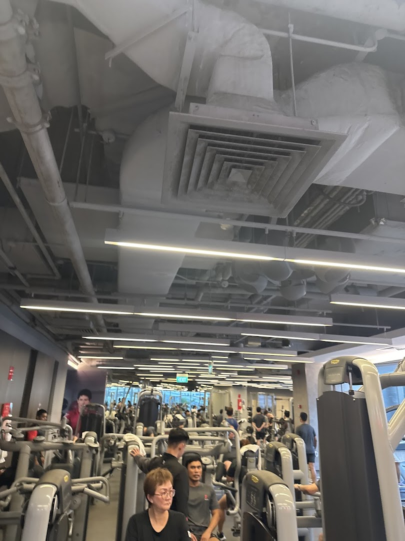 A busy gym interior with members using various fitness equipment under exposed ceiling ducts.