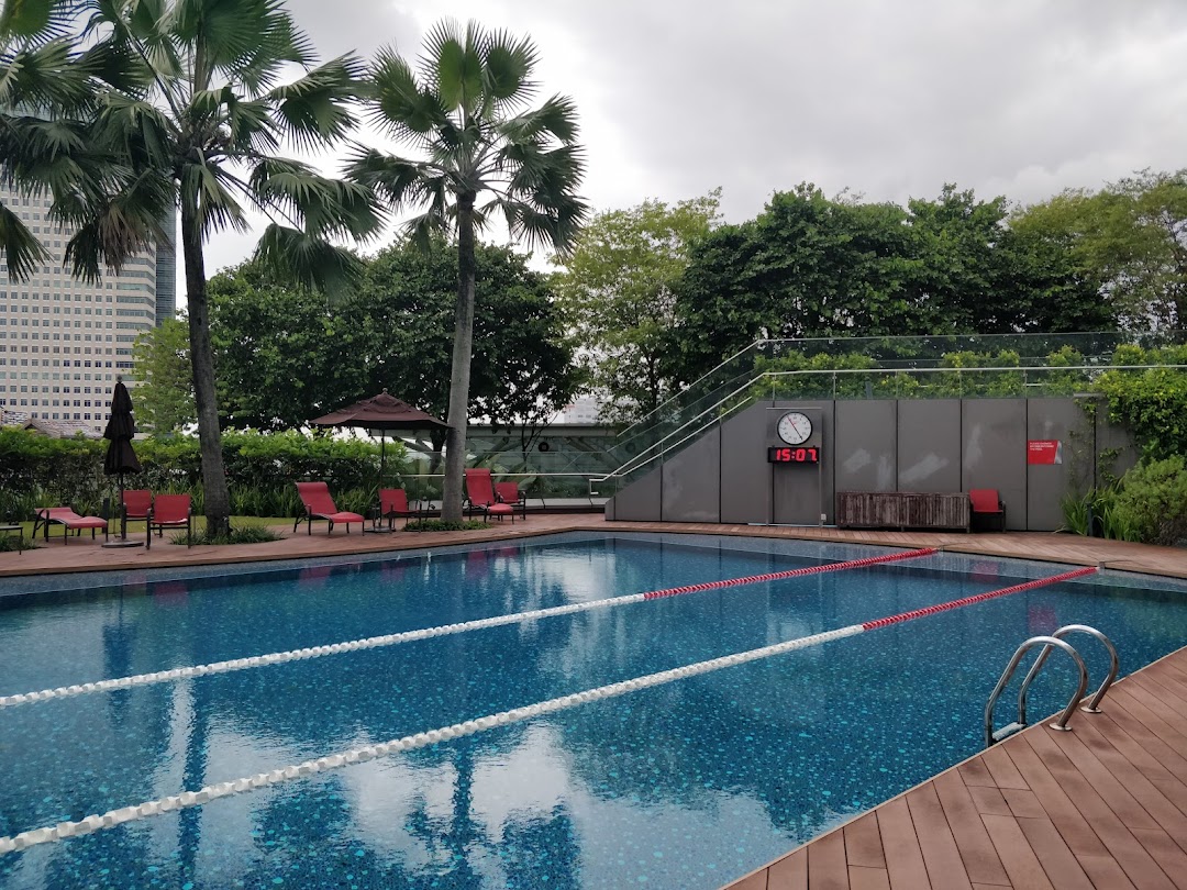 An outdoor swimming pool with lane ropes, surrounded by palm trees and lounge chairs at Fitness First.