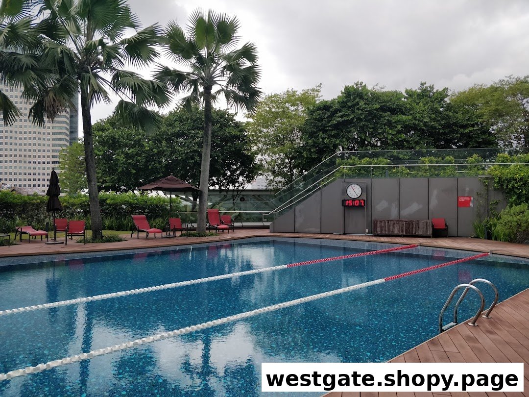 An outdoor swimming pool with lane ropes, surrounded by palm trees and lounge chairs at Fitness First.