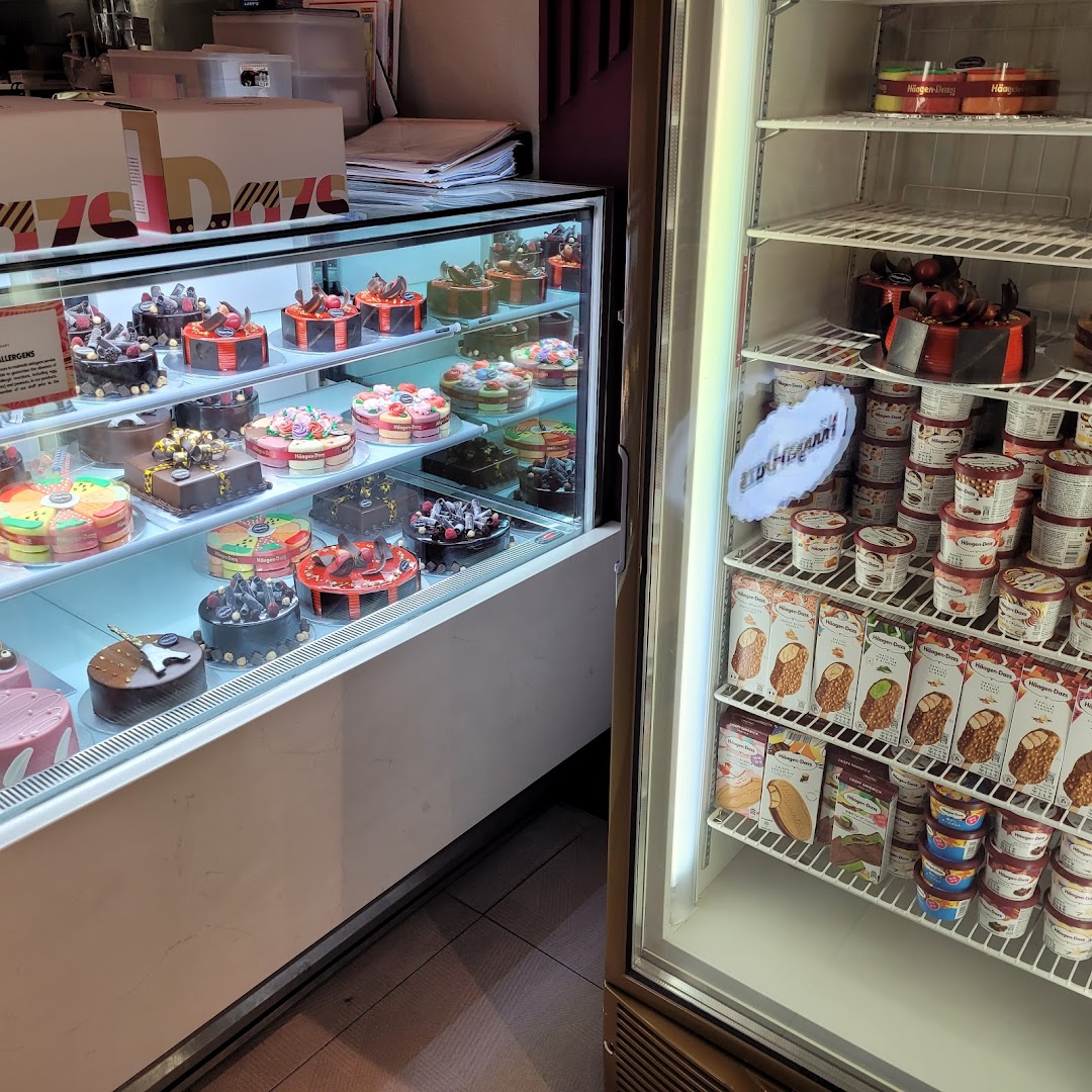 A display case filled with various Häagen-Dazs ice cream cakes and a freezer with ice cream tubs and bars.